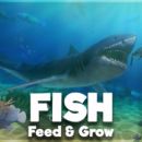 Feed and Grow: Fish