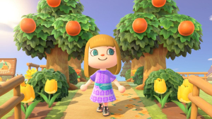 Animal Crossing: New Horizons 0